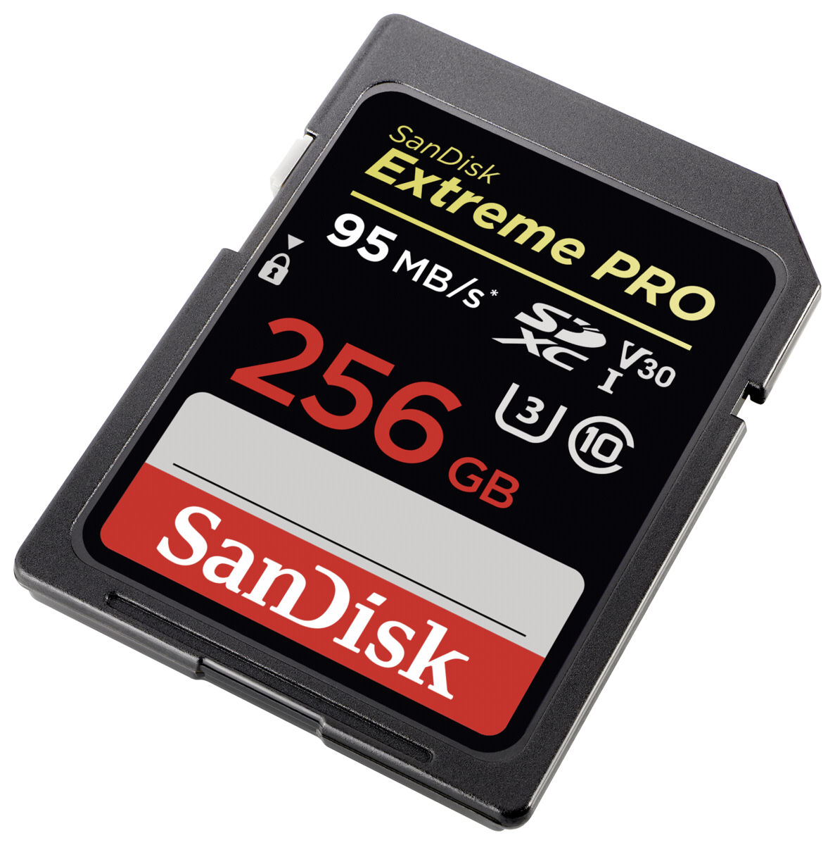 Carte mémoire SanDisk 256GB pour Fujifilm X-T2