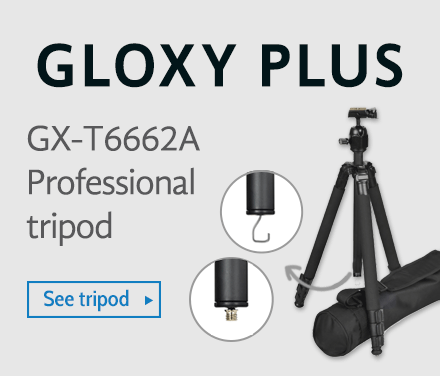 loxy GX-T6662a Plus