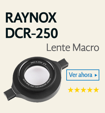 Raynox DCR-250