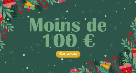 Cadeaux de Noël 100 euros
