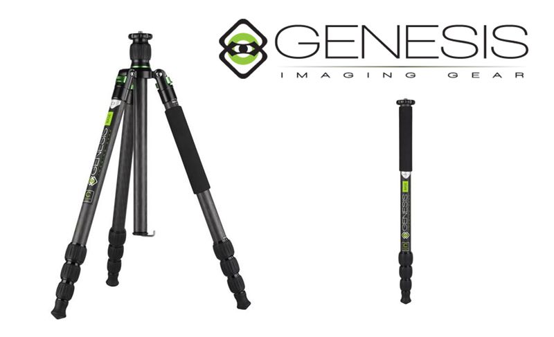 Genesis Base C5 Tripod grey