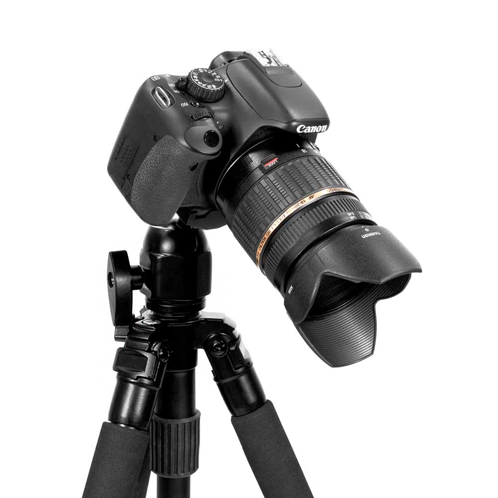 Trípode para Canon EOS 1Ds